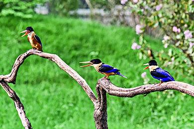 《超次元游戏海王星姐妹vs姐妹》Switch版8月10日发售